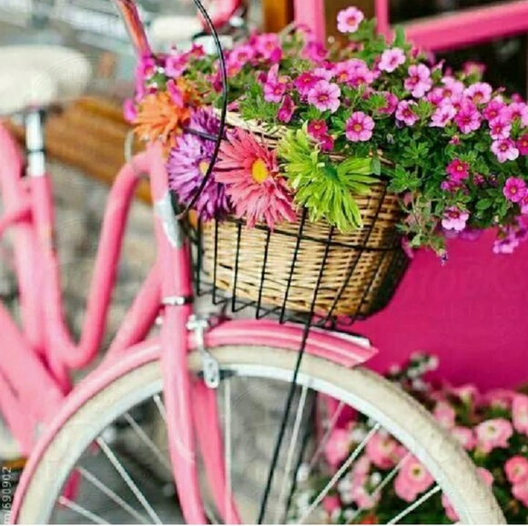 Meet your Posher, Poppy. - Picture 4 of 15